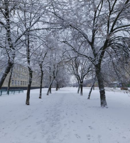 Cartoline d\'inverno - Il gatto e la neve 